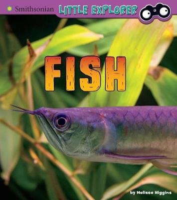 Book cover for Fish: a 4D Book (Little Zoologist)