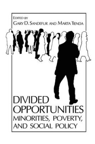 Cover of Divided Opportunities: Minorities, Poverty and Social Policy