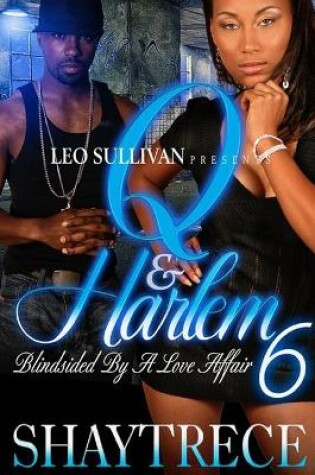 Cover of Q and Harlem 6