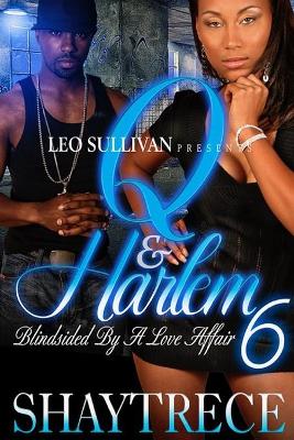 Book cover for Q and Harlem 6