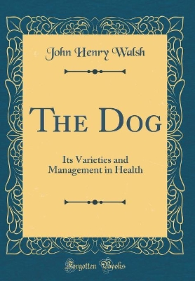 Book cover for The Dog