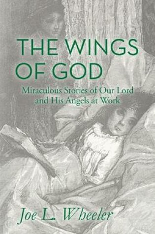 Cover of The Wings of God