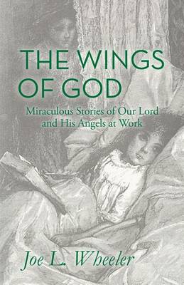 Book cover for The Wings of God