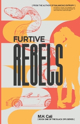 Book cover for Furtive Rebels
