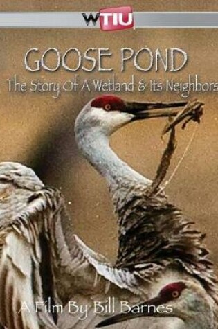 Cover of Goose Pond