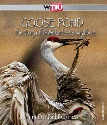 Book cover for Goose Pond