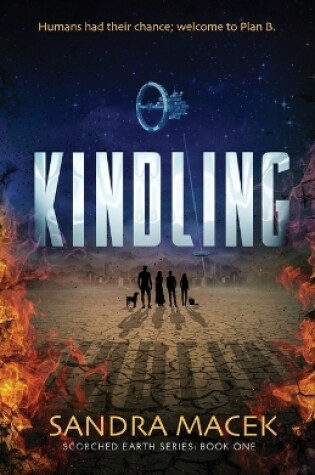 Cover of Kindling