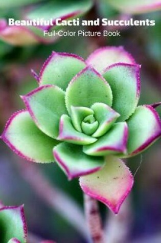 Cover of Beautiful Cacti and Succulents Full-Color Picture Book