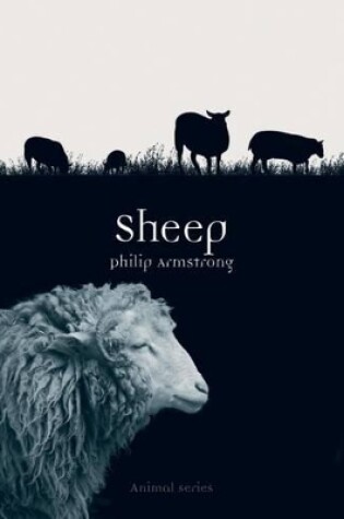 Cover of Sheep