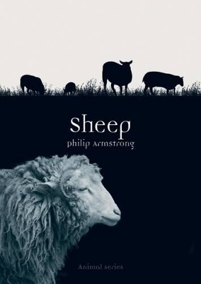 Cover of Sheep