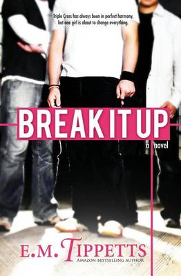 Book cover for Break It Up
