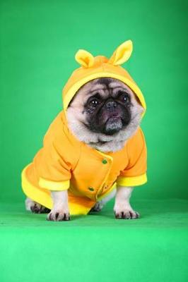 Book cover for Pug Dog in Silly Outfit Worries About Blackmail Journal