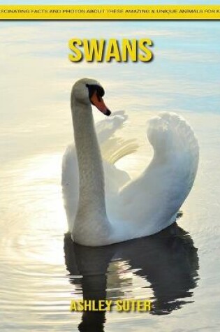 Cover of Swans