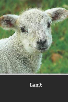 Book cover for Lamb