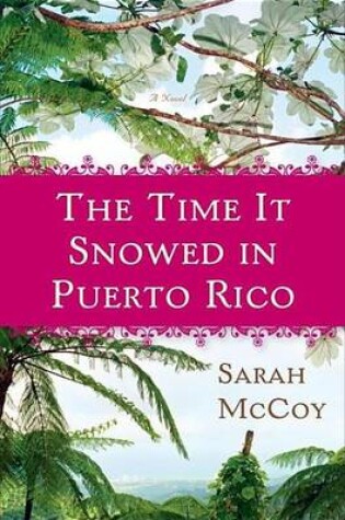 Cover of Time It Snowed in Puerto Rico, The: A Novel