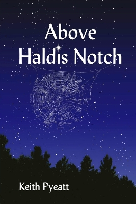 Book cover for Above Haldis Notch