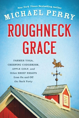 Book cover for Roughneck Grace