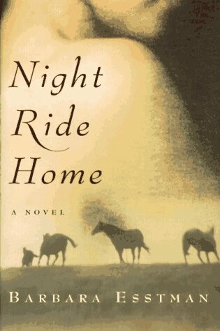 Cover of Night Ride Home