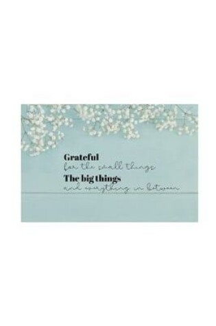 Cover of Grateful for the small things the big things and everything in between