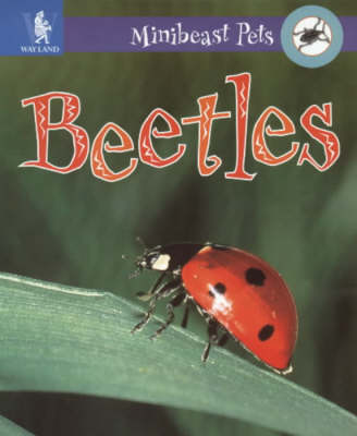 Cover of Beetles