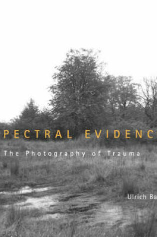 Cover of Spectral Evidence