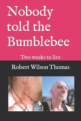 Book cover for Nobody told the Bumblebee