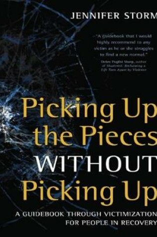 Cover of Picking Up the Pieces without Picking Up