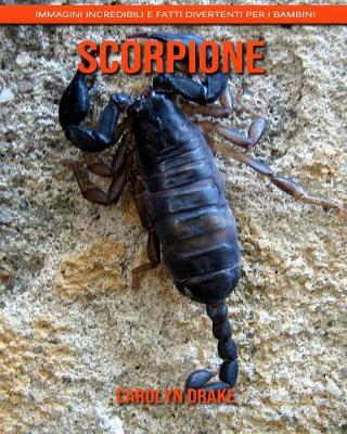 Book cover for Scorpione