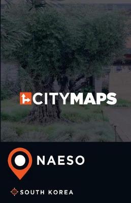 Book cover for City Maps Naeso South Korea