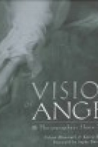 Cover of Visions of Angels