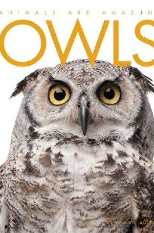 Cover of Animals Are Amazing: Owls