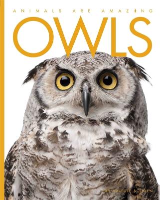 Book cover for Animals Are Amazing: Owls