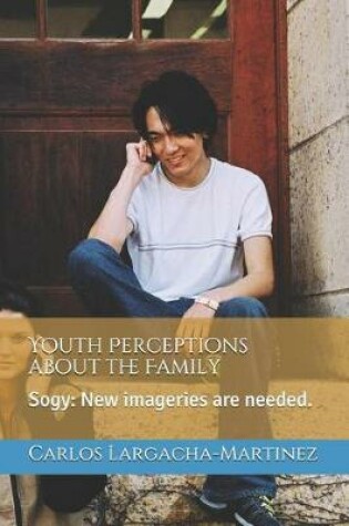 Cover of Youth Perceptions about the Family