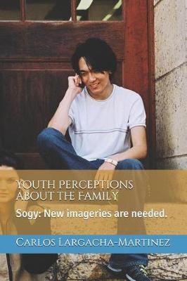 Book cover for Youth Perceptions about the Family