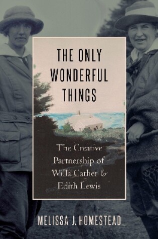 Cover of The Only Wonderful Things