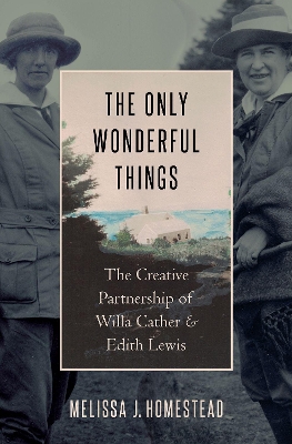 Book cover for The Only Wonderful Things