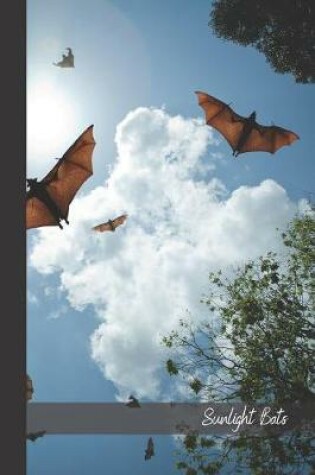 Cover of Sunlight Bats