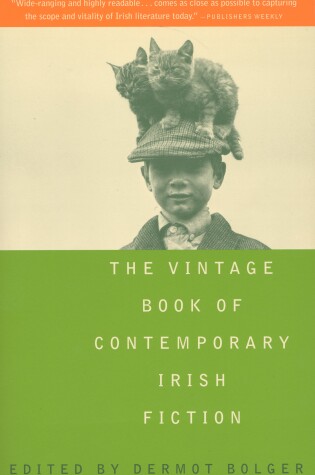 Cover of The Vintage Book of Contemporary Irish Fiction