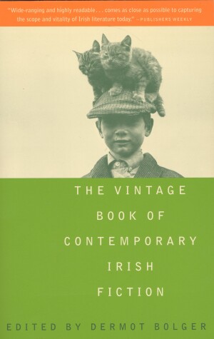 Book cover for The Vintage Book of Contemporary Irish Fiction
