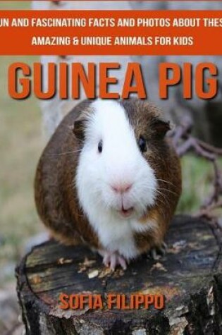 Cover of Guinea pig