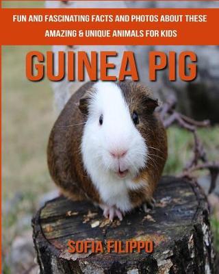 Book cover for Guinea pig