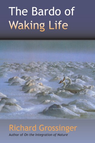 Cover of The Bardo Of Waking Life