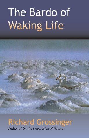 Book cover for The Bardo Of Waking Life