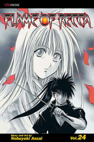 Cover of Flame of Recca, Vol. 24