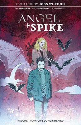 Book cover for Angel & Spike Vol. 2