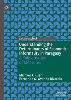 Book cover for Understanding the Determinants of Economic Informality in Paraguay