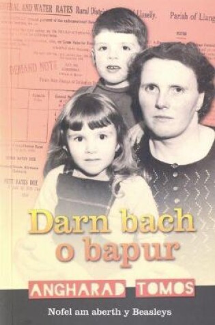 Cover of Darn Bach o Bapur