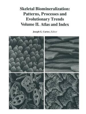 Book cover for Skeletal Biomineralization: Patterns, Processes and Evolutionary Trends