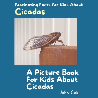 Book cover for A Picture Book for Kids About Cicadas