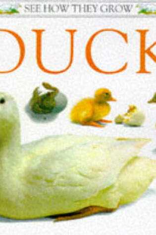 Cover of See How They Grow:  Duck